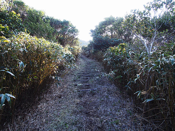 長滝山 遊歩道を進む