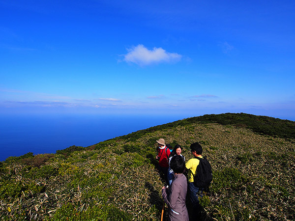 御蔵島の山