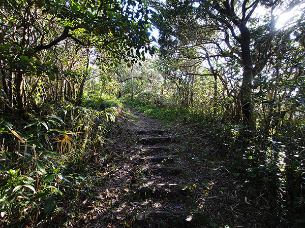 長滝山 遊歩道