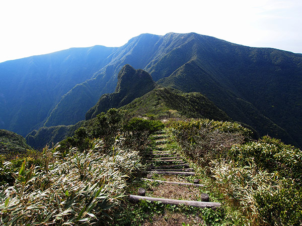 御蔵島の絶景スポット「長滝山」に登ったのサムネイル