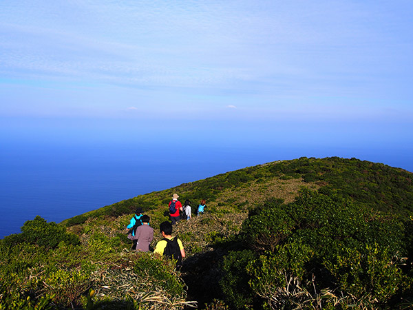 長滝山 遊歩道の風景