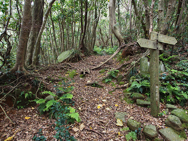 南郷 山道の分岐点