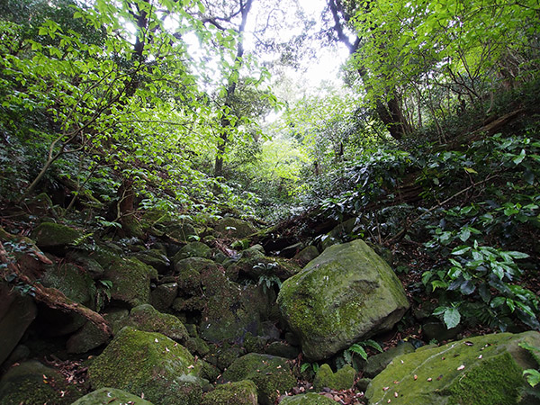 南郷 水無川