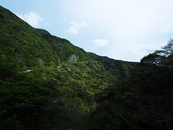 御蔵島 都道