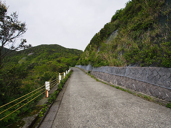 都道 草祀り付近