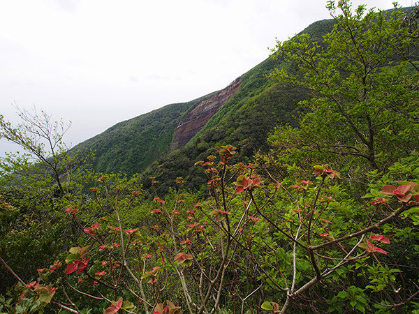 御蔵島 山崩れ