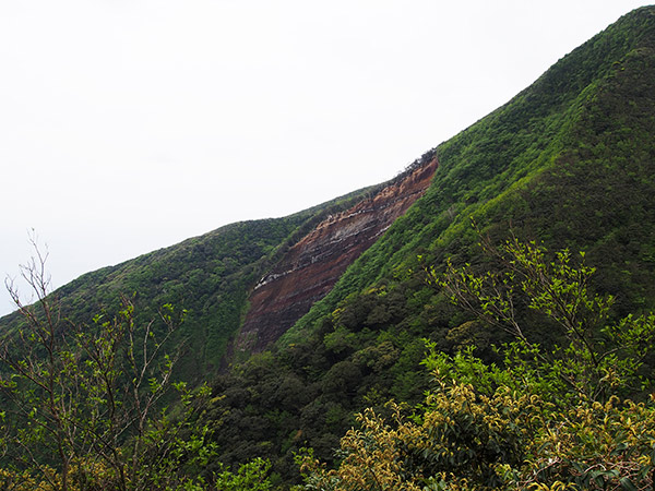 御蔵島 大崩