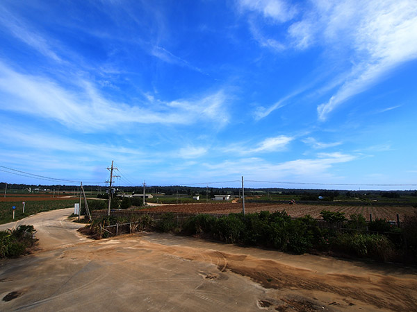 空港跡地