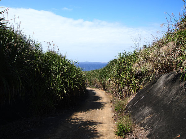 本場海岸 坂を下る