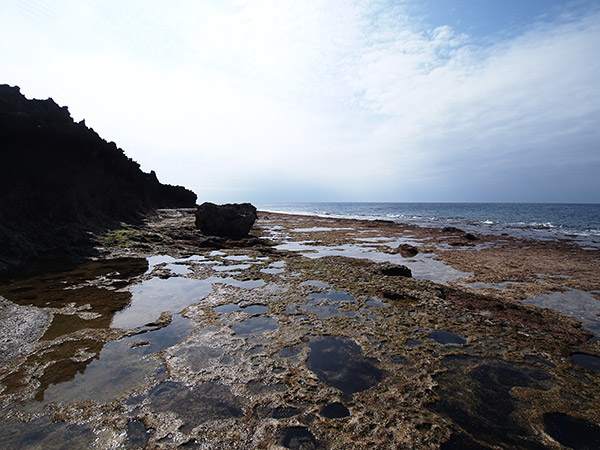 本場海岸 岩場