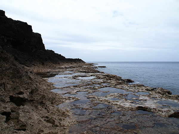 塩屋海岸 岩場