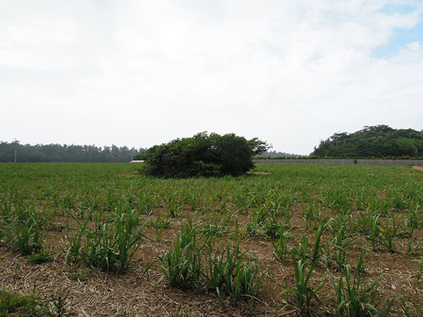 地底湖の入口