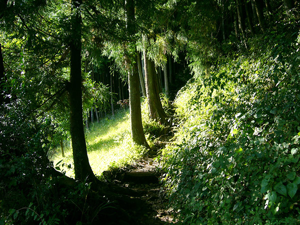 花折戸尾根の登山口