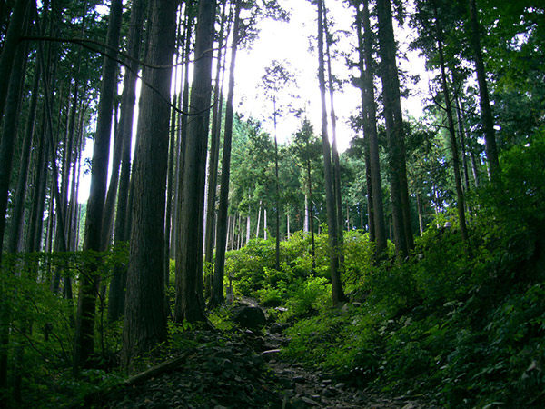 大根ノ山の神