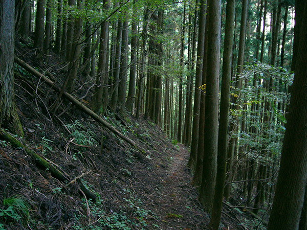 峰集落に続く山道