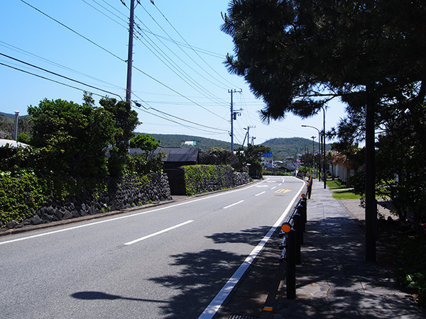 阿古 海沿いの道路