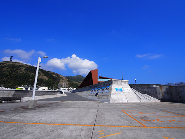 三宅島 岸壁から見た船客待合所