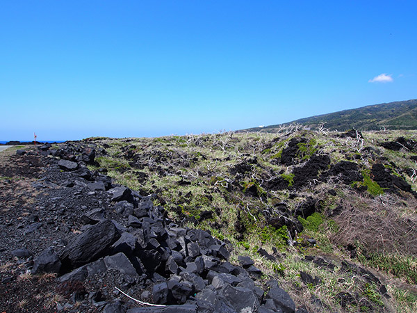 今崎海岸 噴火 溶岩跡