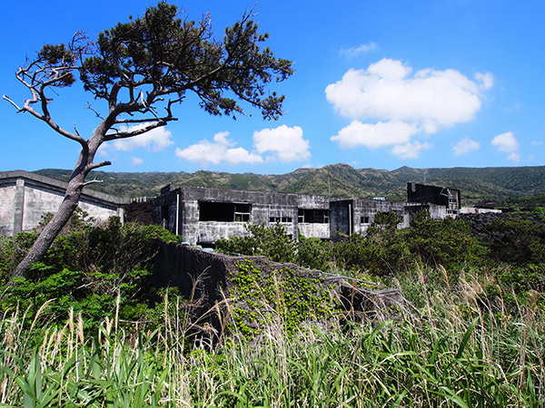 三宅島 阿古中学校跡 プール跡