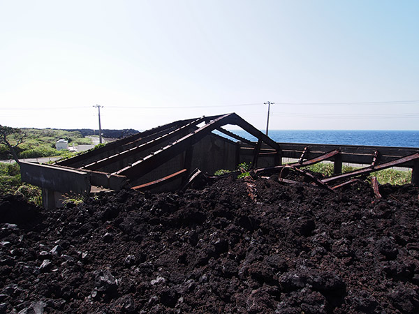 阿古小中学校 体育館 三宅島