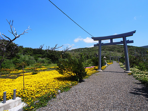 三宅島 富賀神社 参道