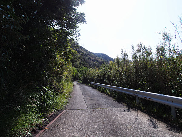 三宅島 南戸林道