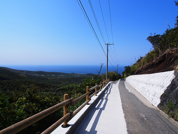 三宅島 南戸林道 補修工事跡