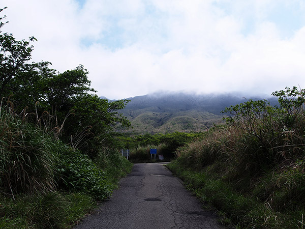 三宅島 南戸林道 終点