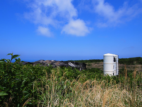 三宅島 村営牧場 牛舎の廃墟