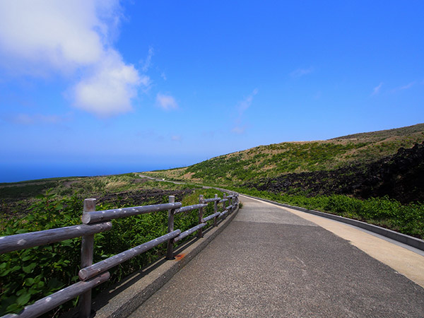 雄山環状線林道 三宅島の絶景