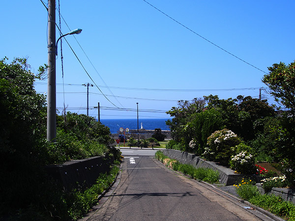 共栄荘の周りの道