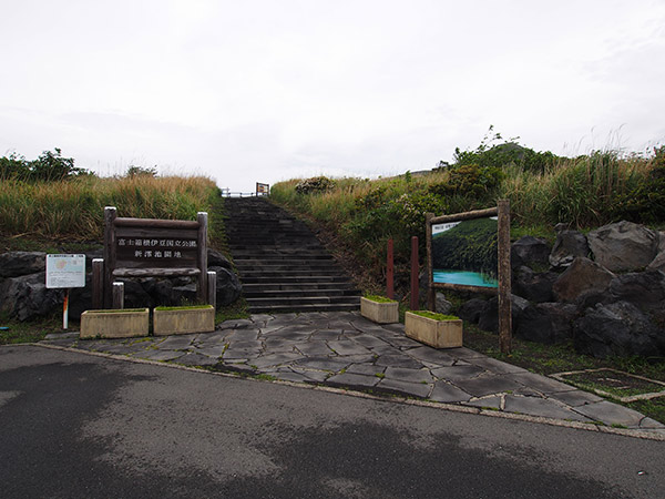 新澪池園地 三宅島