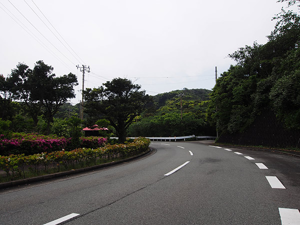 大路池への行き方