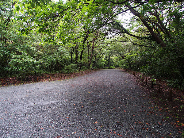 三宅島 大路池の駐車場