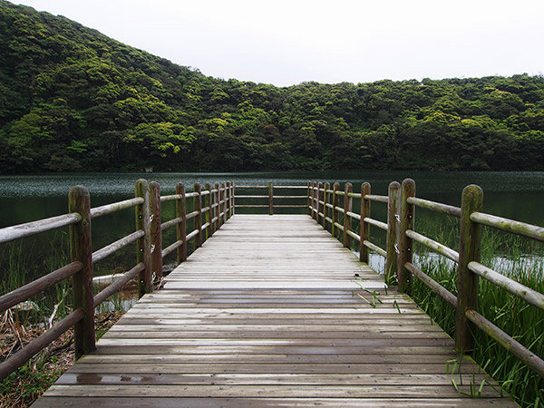 三宅島の大路池 北側桟橋