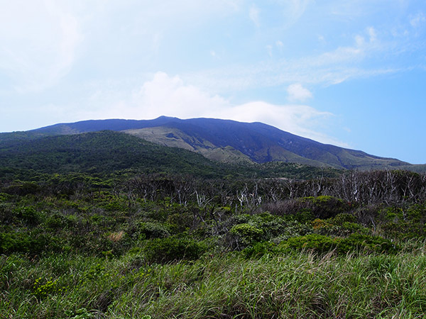 三宅島の坪田 雄山