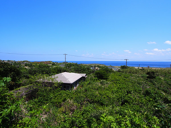 三宅島空港 坪田地区