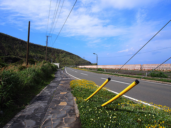 三宅島 三池 道路