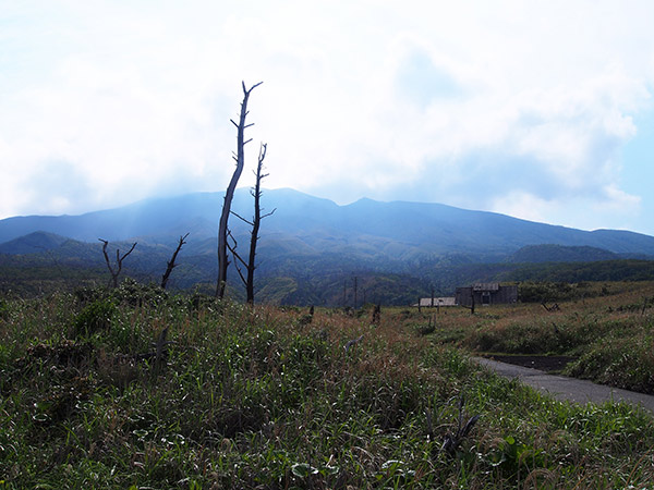 サタドー岬 火山ガス 枯れ木