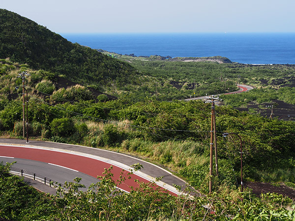 三七山 ひょうたん山と都道