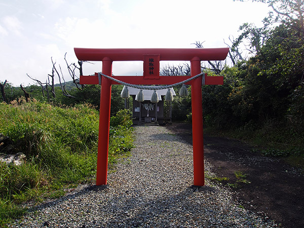 椎取神社 参道