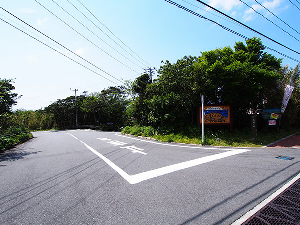 三宅島 カノンの行き方