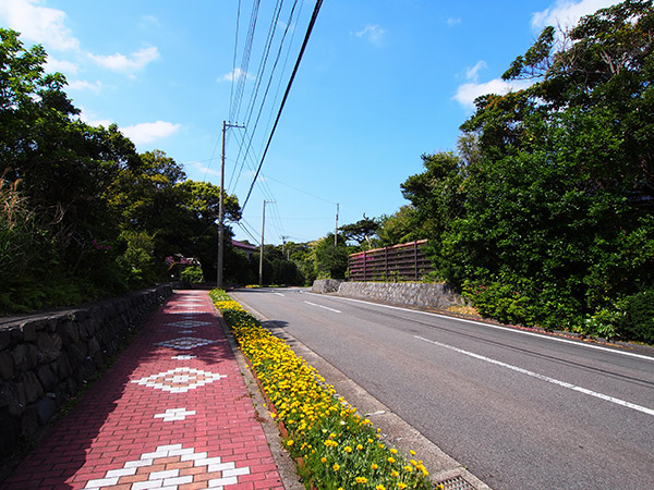 三宅島 伊豆地区