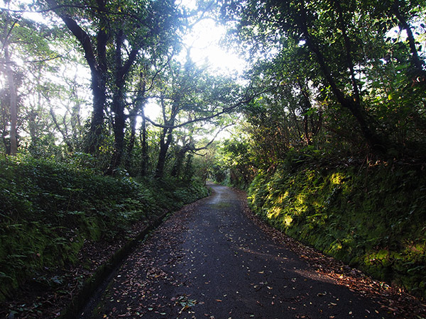 三宅島 伊豆岬 行き方