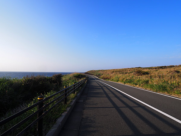 三宅島 伊豆岬 道路