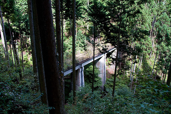 橋梁の俯瞰