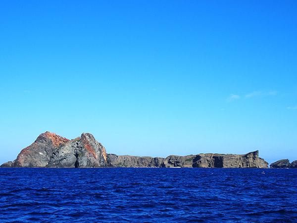 嫁島の全景