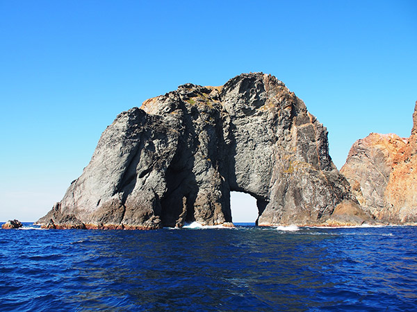 嫁島 マグロ穴