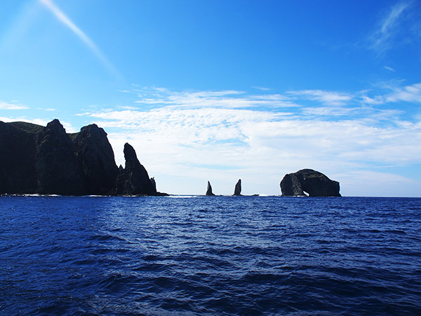 媒島 眼鏡岩