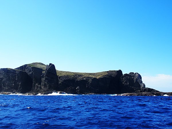 媒島の岩山